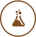 Research Icon